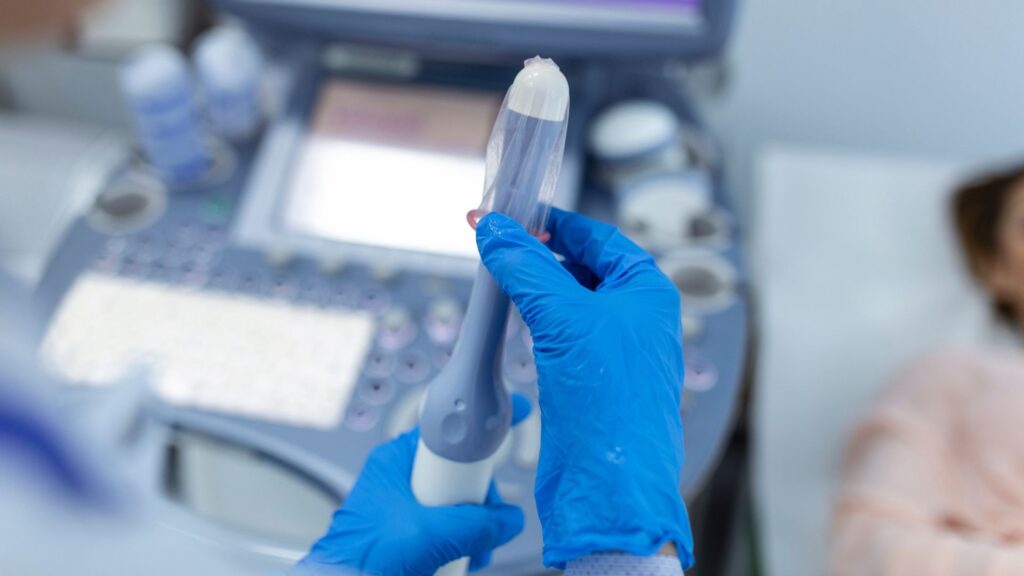 Hands-On Training with Real Patient Models