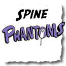 diy ultrasound phantom
