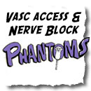 diy ultrasound phantom