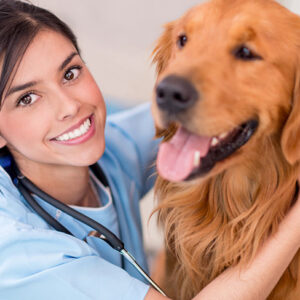 Vet