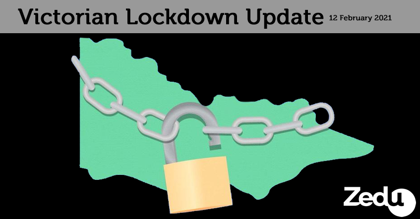 Zedu Ultrasound Training - lockdown update