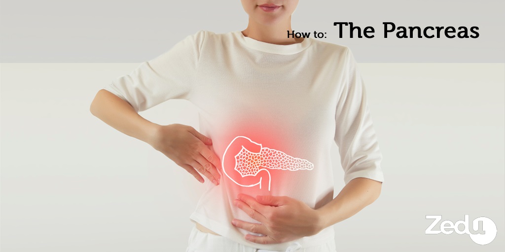 pocus-coaching-corner-pancreas-twitter