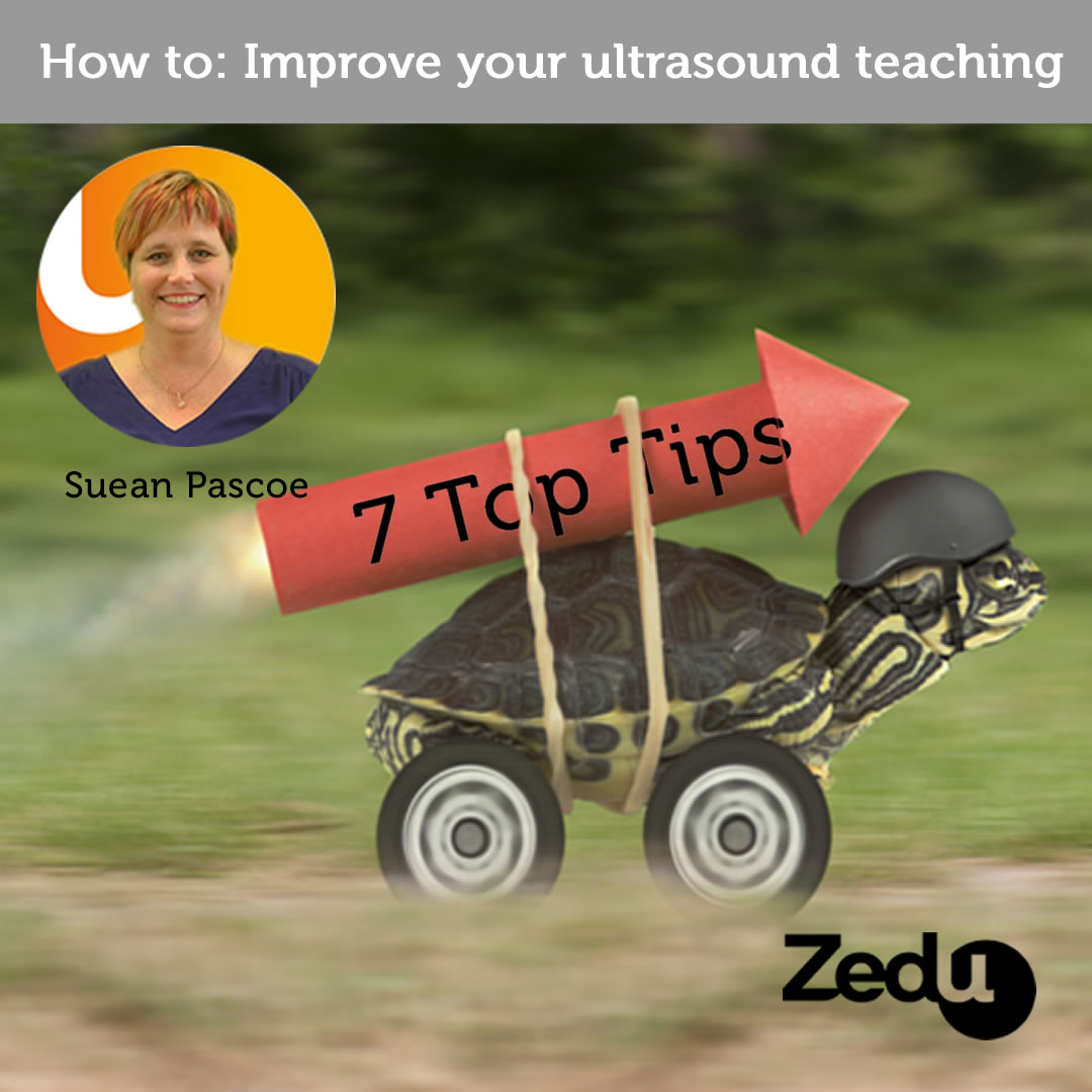 Coaching Corner - improve your ultrasound teaching