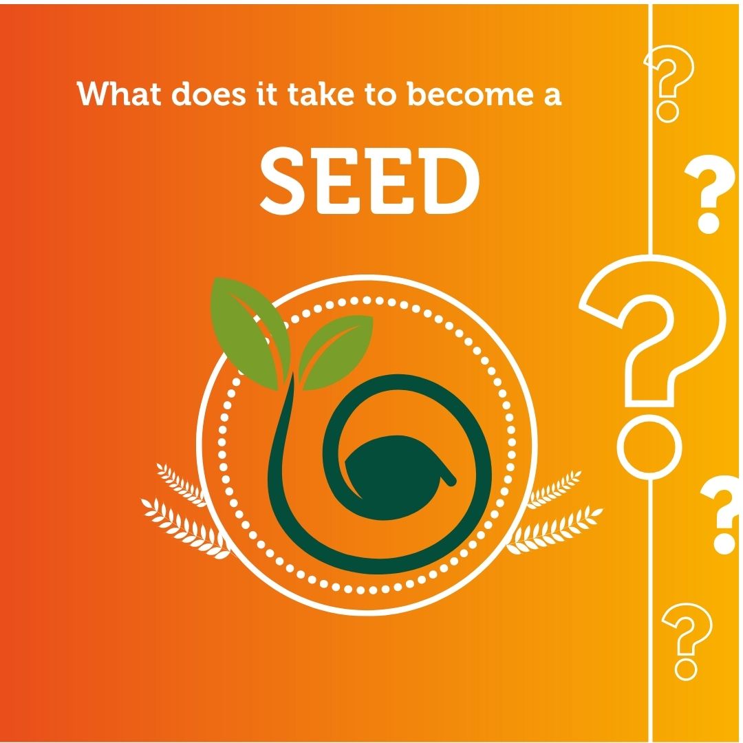 What does it take to become a sonographer educator in the emergency department SEED