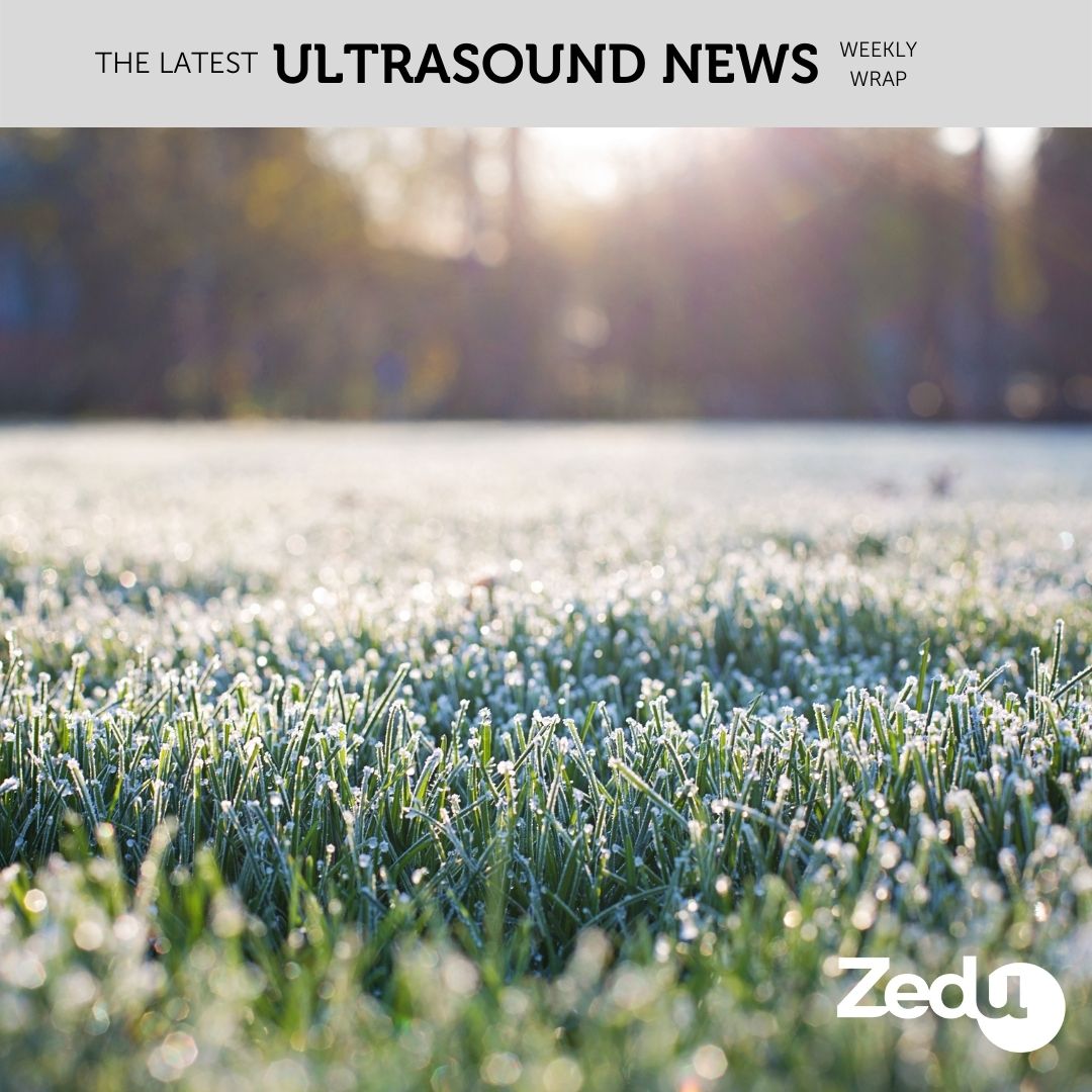 The Zedu weekly wrap - bringing together the best in free ultrasound news, views and opinions from across the internet.