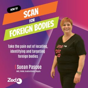 Zedu Coaching Corner February 2023