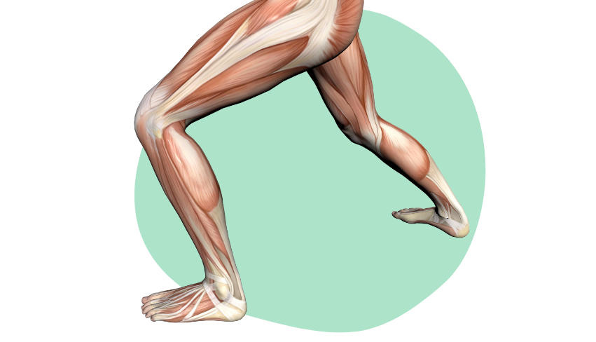 Zedu-SLLU2-851-488 Zedu Lower Limb Musculoskeletal Ultrasound for Sonographers course - join us for an immersive and practical experience to fast-track your skills development and get you work-ready