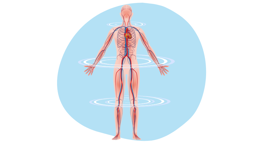 Zedu Introduction to Vascular Ultrasound for Sonographers course - join us for an immersive and practical experience to fast-track your skills development and get you work-ready