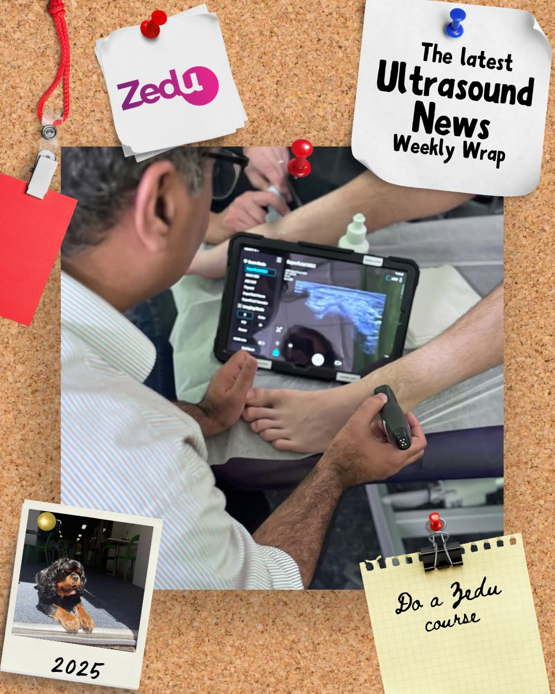 The Zedu weekly wrap - bringing together the best in free ultrasound news, views and opinions from across the internet.