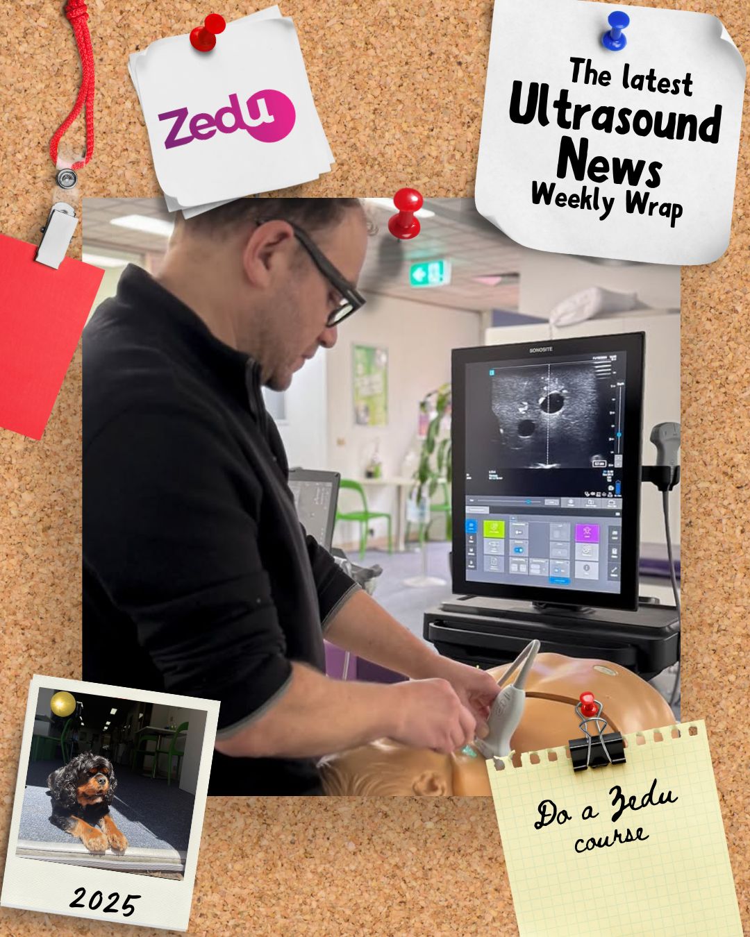 The Zedu weekly wrap - bringing together the best in free ultrasound news, views and opinions from across the internet.