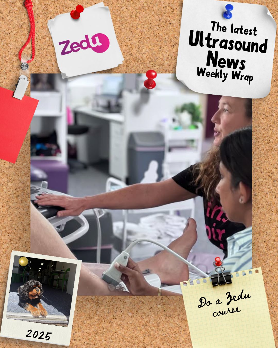 The Zedu weekly wrap - bringing together the best in free ultrasound news, views and opinions from across the internet.