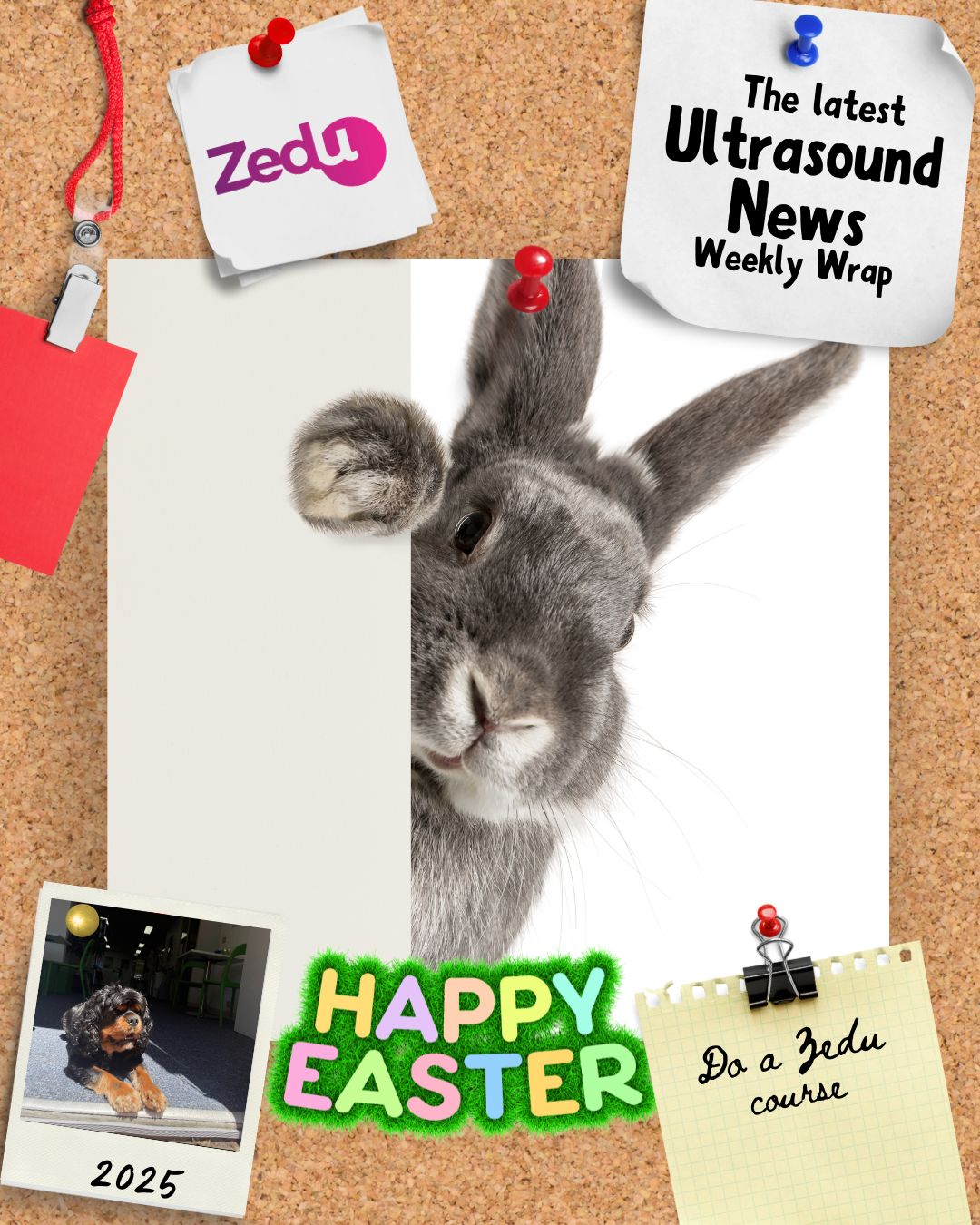 The Zedu weekly wrap - bringing together the best in free ultrasound news, views and opinions from across the internet.