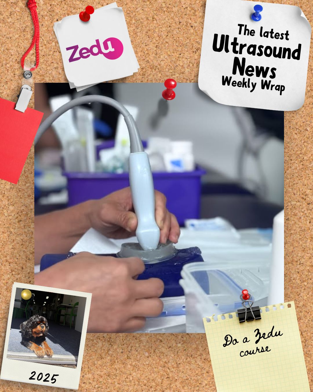 The Zedu weekly wrap - bringing together the best in free ultrasound news, views and opinions from across the internet.
