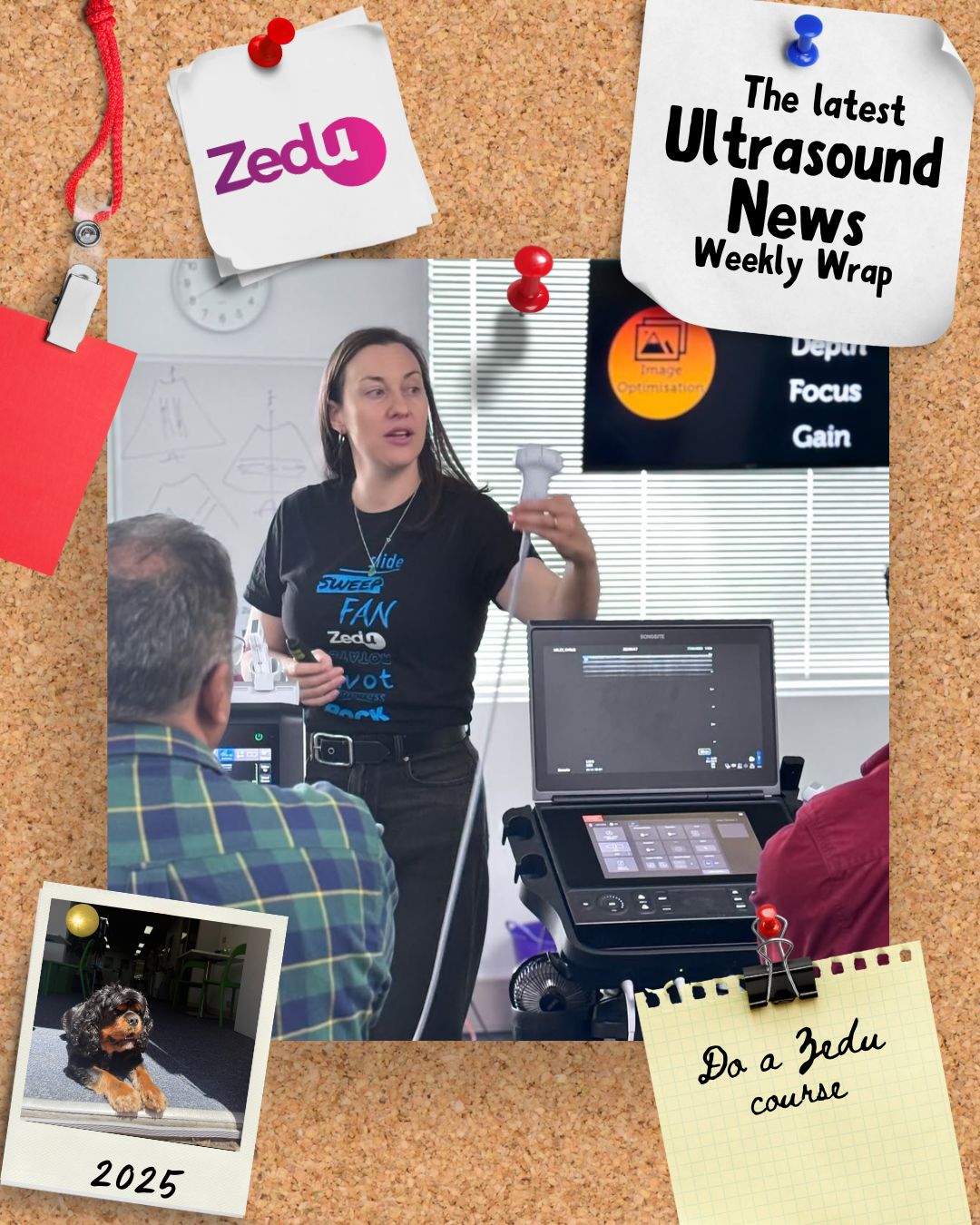 The Zedu weekly wrap - bringing together the best in free ultrasound news, views and opinions from across the internet.