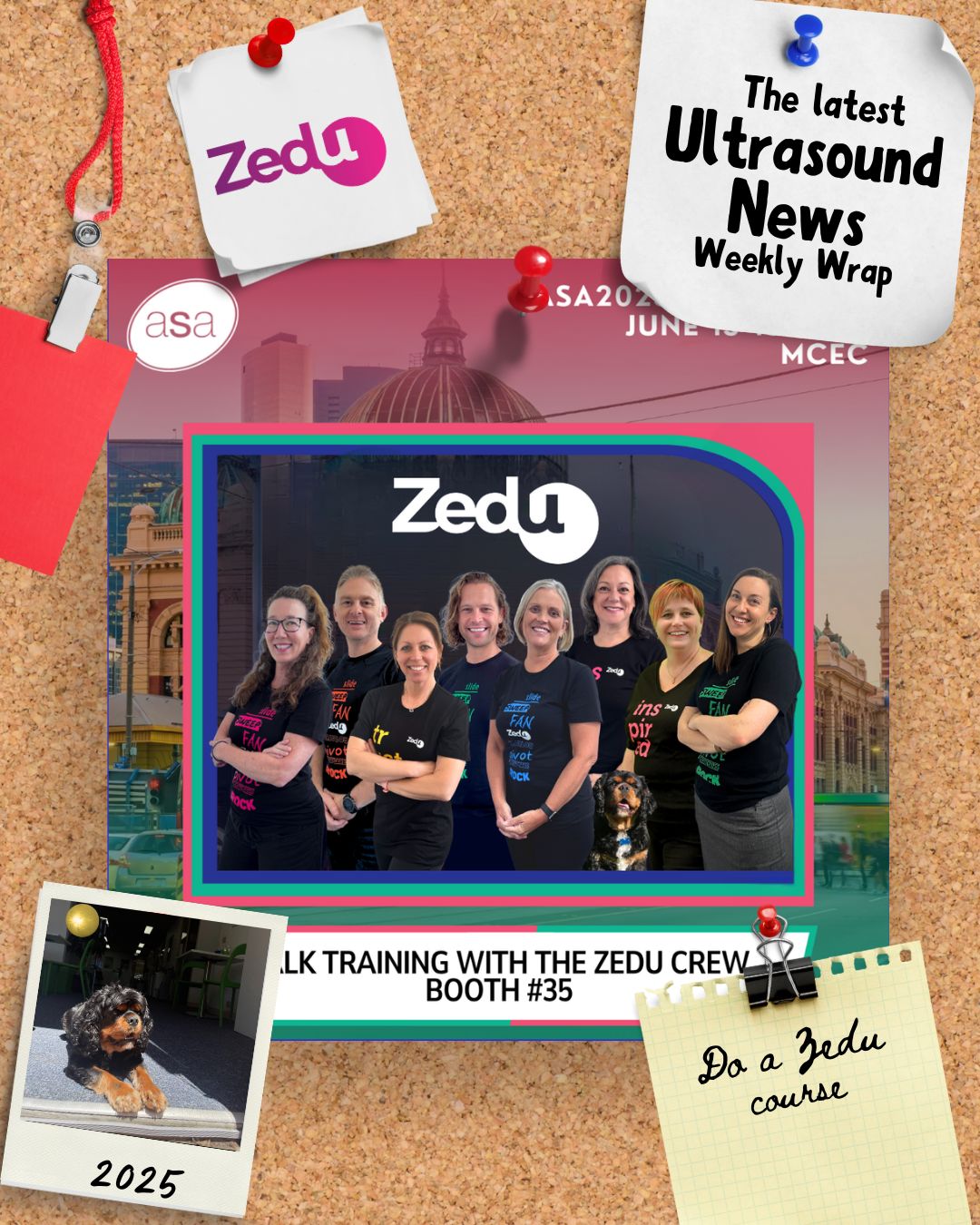 The Zedu weekly wrap - bringing together the best in free ultrasound news, views and opinions from across the internet.