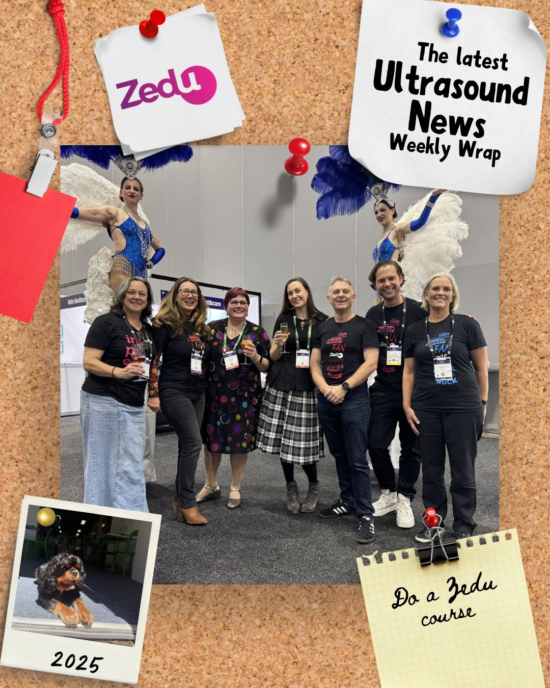 The Zedu weekly wrap - bringing together the best in free ultrasound news, views and opinions from across the internet.