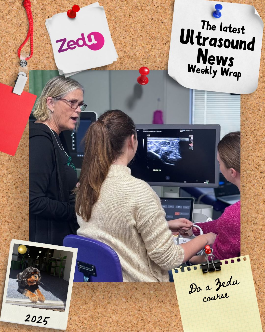 The Zedu weekly wrap - bringing together the best in free ultrasound news, views and opinions from across the internet.