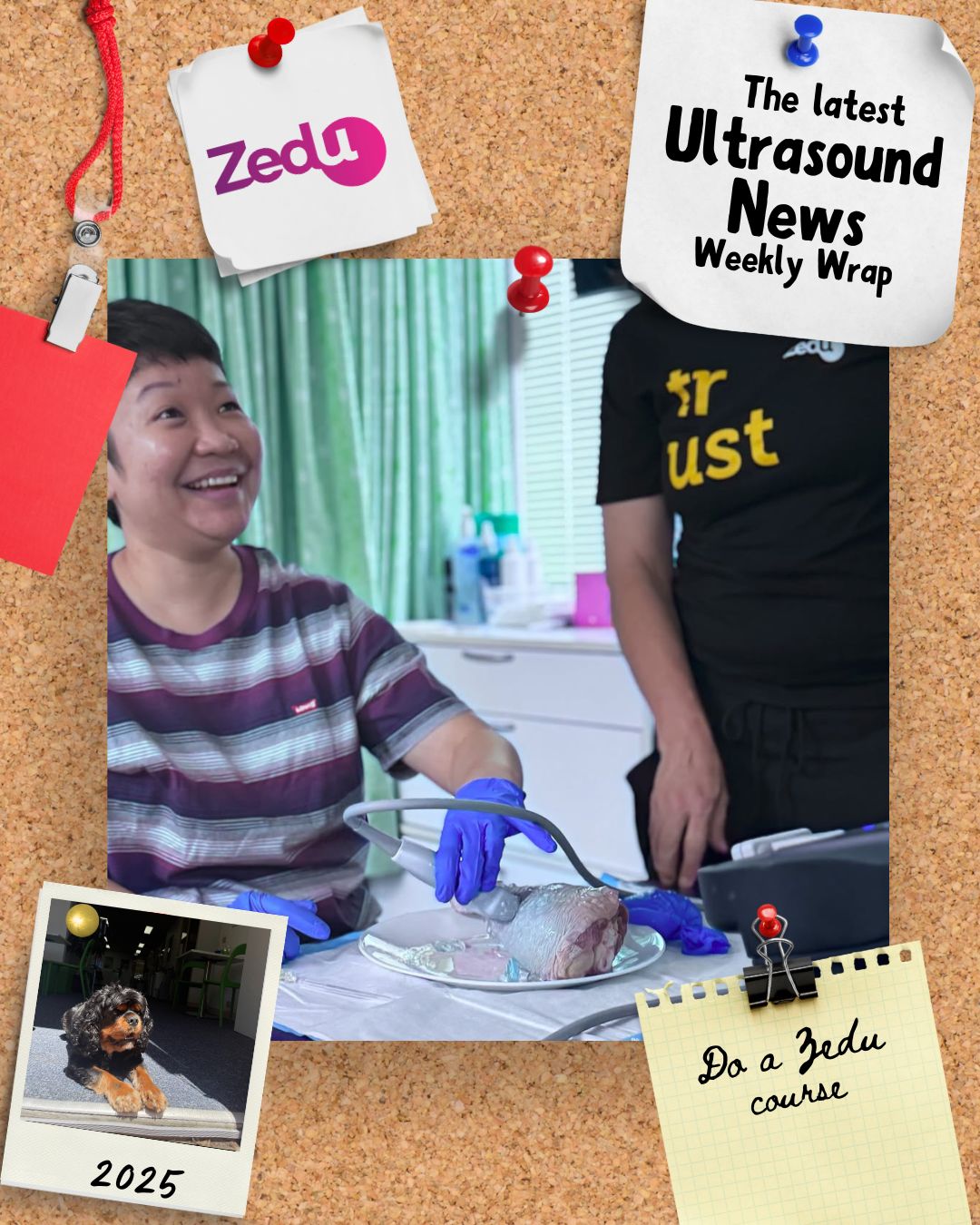 The Zedu weekly wrap - bringing together the best in free ultrasound news, views and opinions from across the internet.