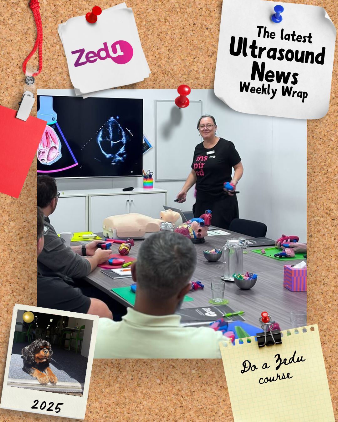 The Zedu weekly wrap - bringing together the best in free ultrasound news, views and opinions from across the internet.