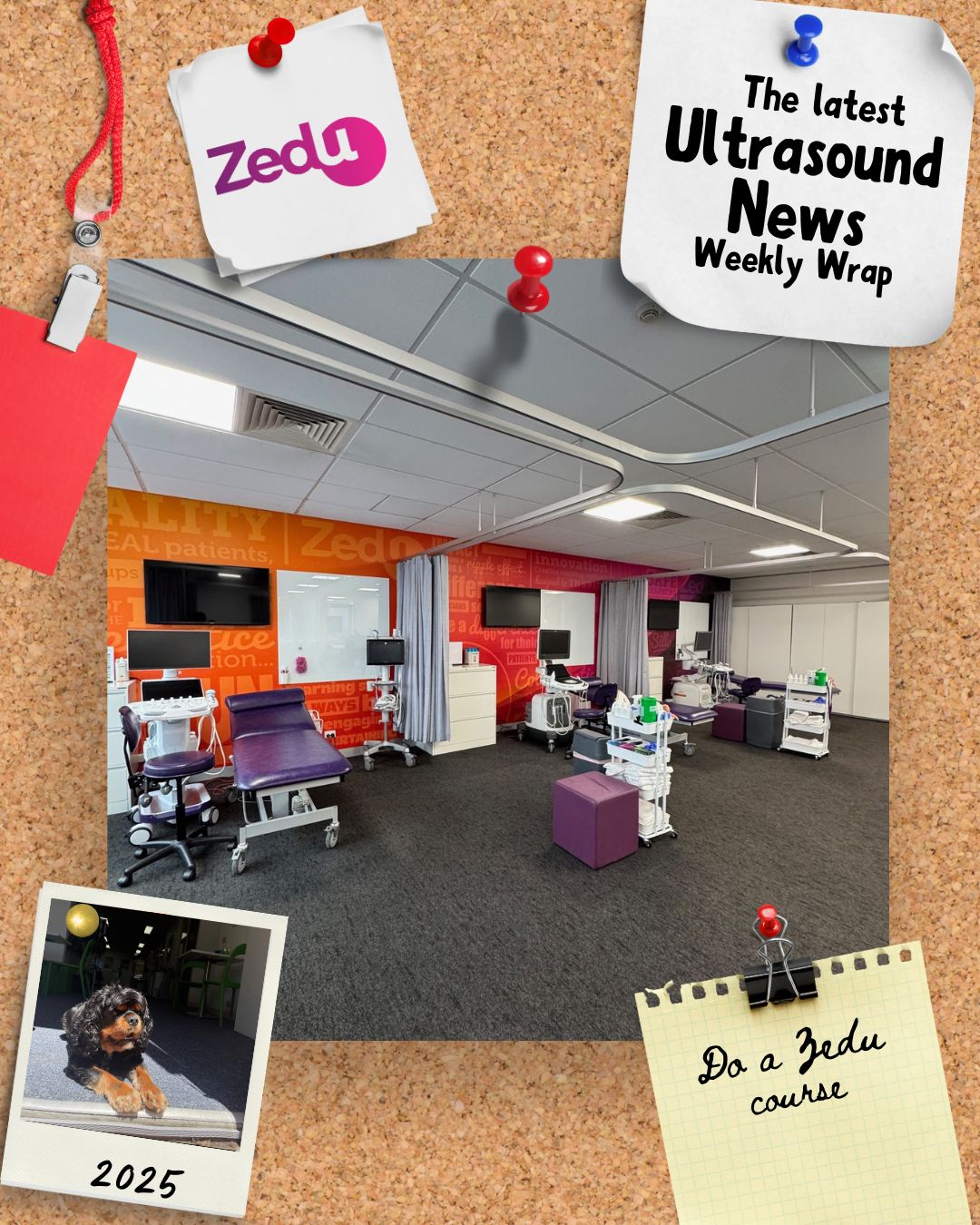 The Zedu weekly wrap - bringing together the best in free ultrasound news, views and opinions from across the internet.