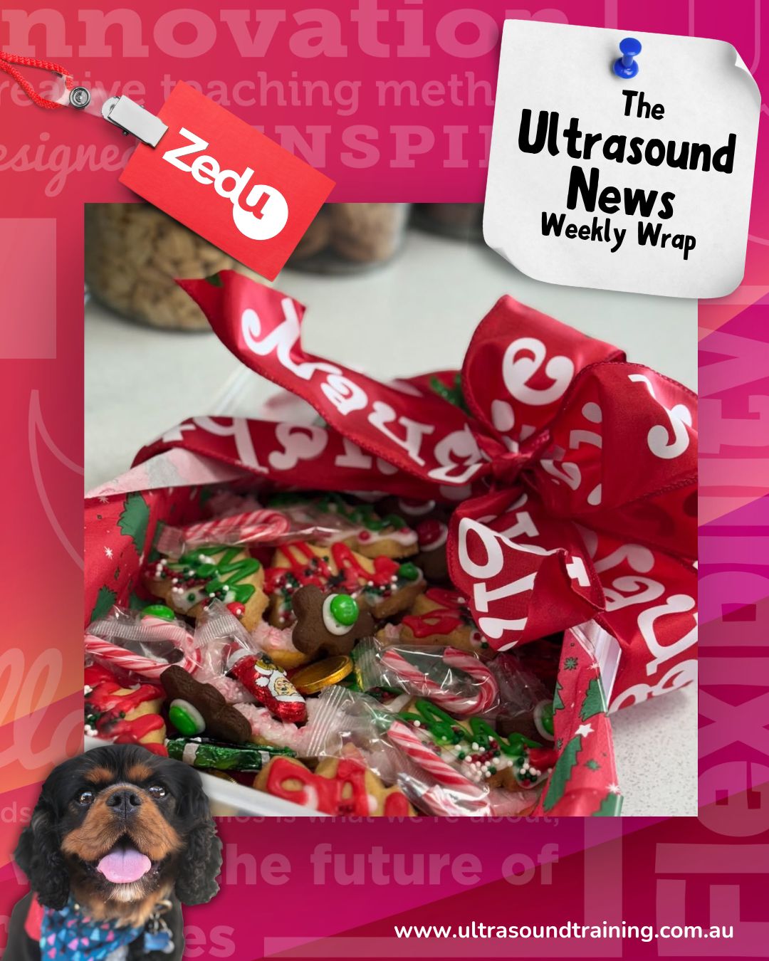 The Zedu weekly wrap - bringing together the best in free ultrasound news, views and opinions from across the internet.