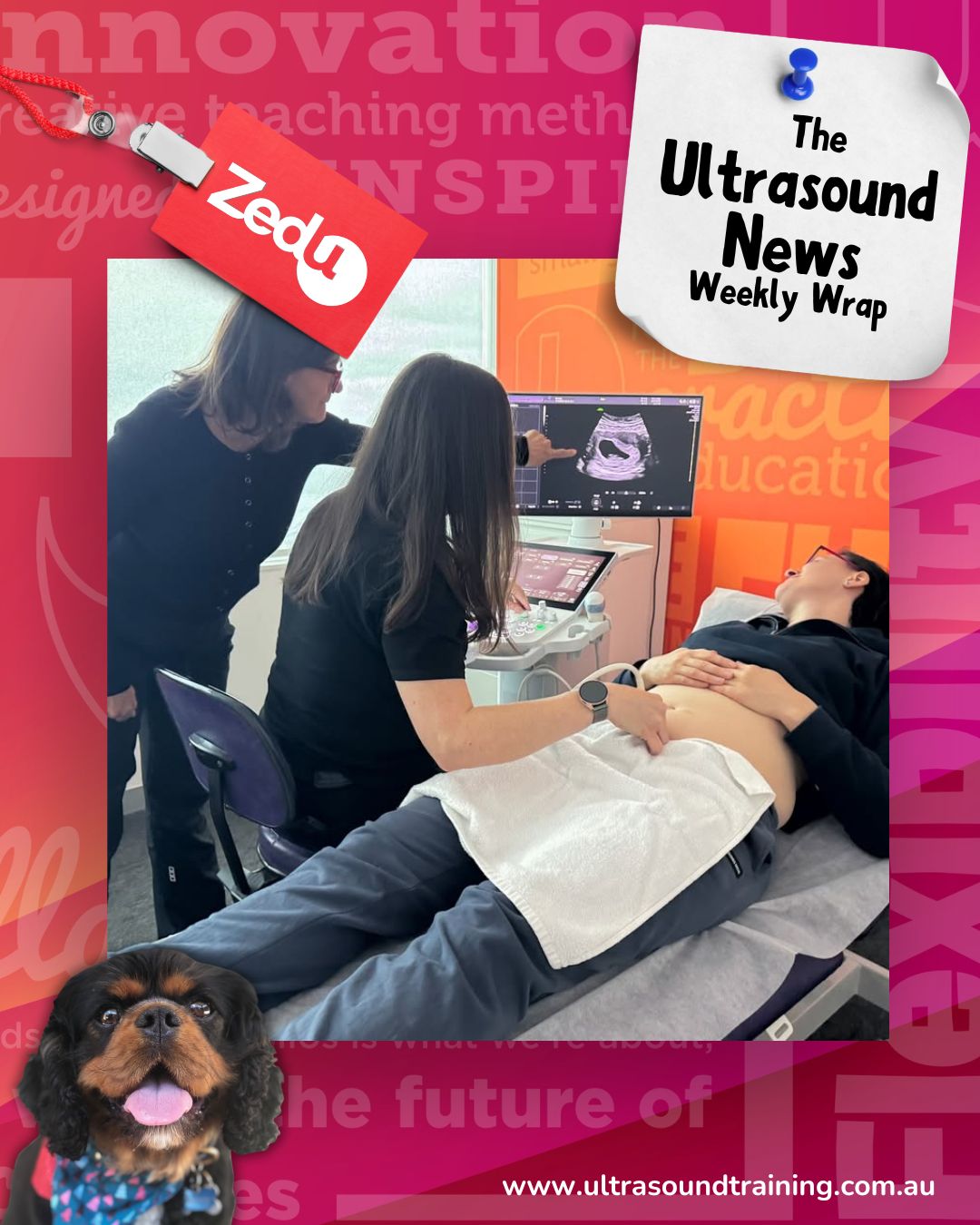 The Zedu weekly wrap - bringing together the best in free ultrasound news, views and opinions from across the internet.