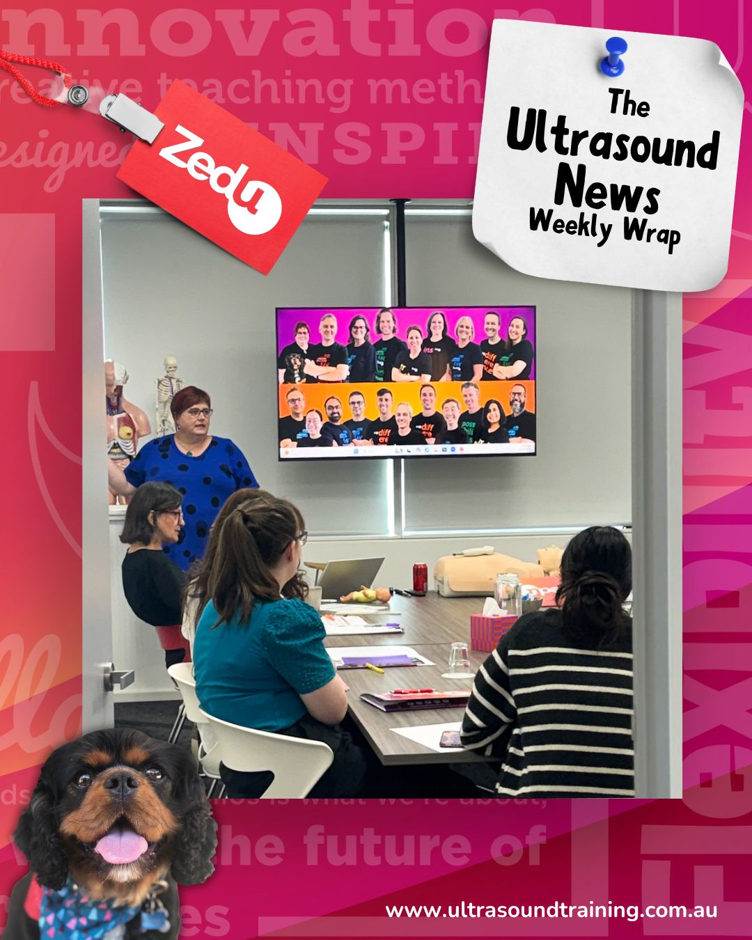 The Zedu weekly wrap - bringing together the best in free ultrasound news, views and opinions from across the internet.