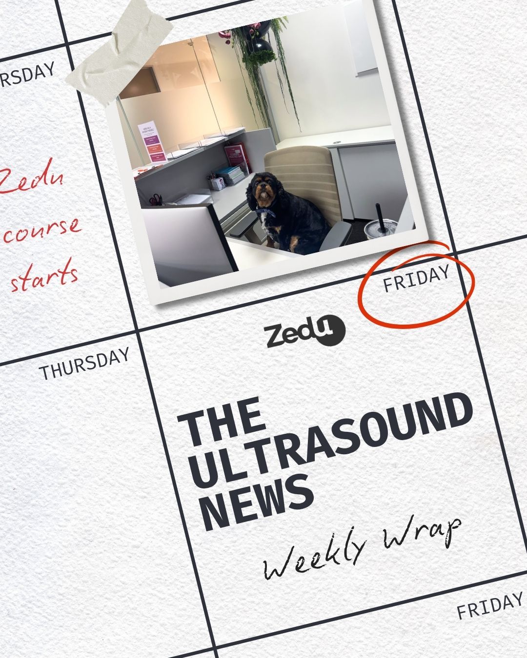 The Zedu weekly wrap - bringing together the best in free ultrasound news, views and opinions from across the internet.